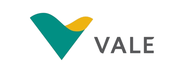 logo vale 1500x600 removebg preview 1